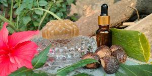 Aloe Vera Reetha Soap