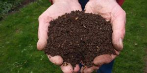 Organic Manure