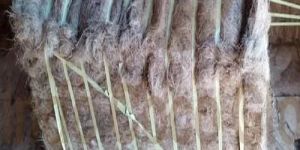 Raw Coir Fiber