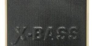 PLS201 Bluetooth FM Speaker