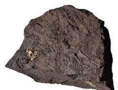 Lignite Coal