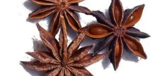 Dried Star Anise