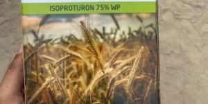 Shrilon Isoproturon Herbicide