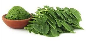 Moringa Leaf Powder