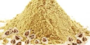Moringa Seed Powder