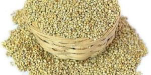 Pearl Millets