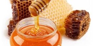 Unifloral Forest Honey