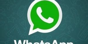 Bulk Whatsapp Service