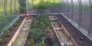 Polyhouse Tarpaulin Shed