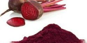 Dehydrated Beat Powder