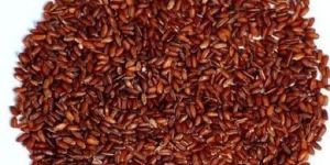 Red Rice
