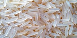 1121 Basmati Rice