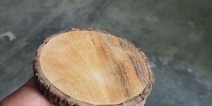 Wooden Bark Coaster