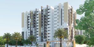 Building Elevation Services