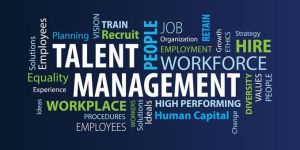 Talent Management Services