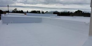 Terrace Waterproofing Services