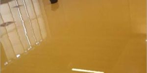 Transparent Epoxy Flooring Services