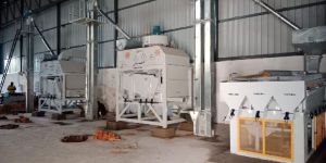 Pulses Processing Machine