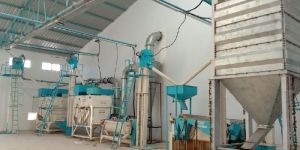 Seed Cleaning Plant