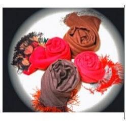 Tasseled Pashmina Stole