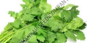 Coriander Leaves Seeds