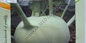 Knol Khol Sweta Seeds