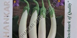 White Brinjal Seeds
