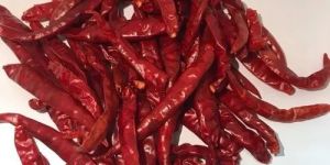 SI7 Teja Stemless Dried Red Chilli