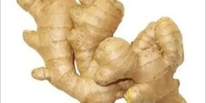Fresh Ginger