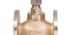 Globe Steam Stop Valve