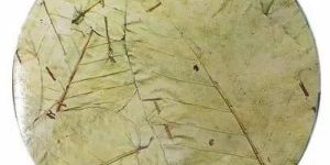 ITC Paper Plate Raw Materials