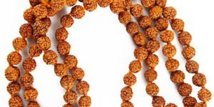 Rudraksha Beads Mala