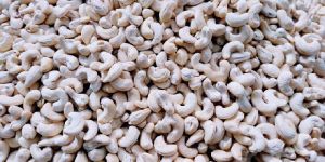 Averages Cashew Nut