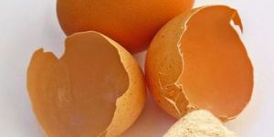 Brown Egg Shell Powder