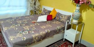 Microfiber Double Bed Sheet