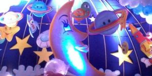 Birthday Party Organizer