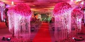 Theme Party Organizer