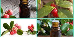 Methyl Salicylate Oil