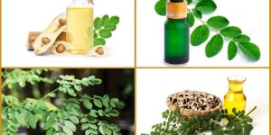 Moringa Oil