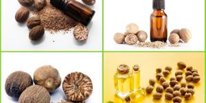 Nutmeg Oil