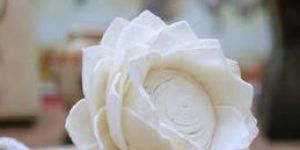 Sola Open Lotus Flower