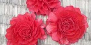 Sola Pink Dahlia Flower