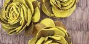 Sola Yellow Rose Flower