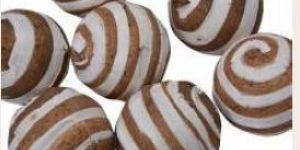 Sola Zebra Circle Ball