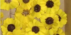 Yellow Palm Sola Sunflower