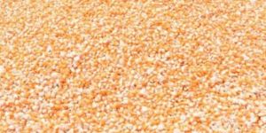 Parboiled Non Basmati Rice