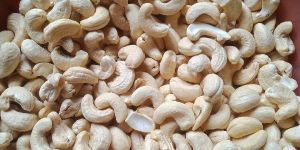 American Cashew