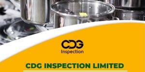 Utensils Inspection Services