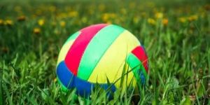 Volleyball Green Artificial Grass