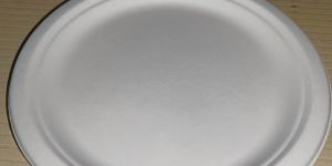 Bagasse Disposable Plate